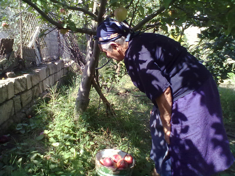 Не слушая наши возражения, т.Арина собрала Вадиму и мне в дорогу яблоки.