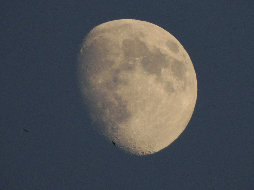 Луна... поздний вечер, зум использован полностью. На фоне луны видны орлы..