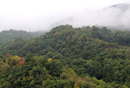 Почти до Лысогора в горах был туман...