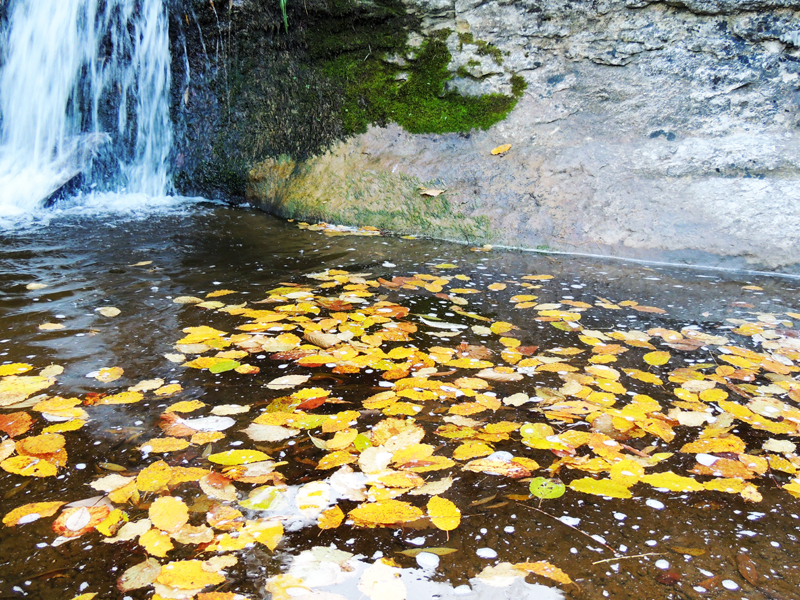 Небольшой водопад и осенние листья в небольшой заводи, рядом с мостом Акнахбюра. 