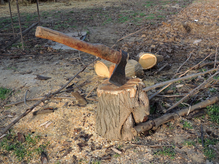 В течение дня топор всегда бывает нужен, чтобы разрубить дрова.