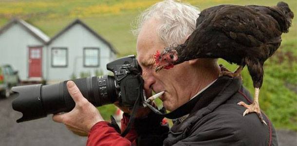 День фотографа: цыпа помогает.:-) День фотографа: цыпа помогает.:-)