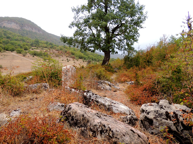 Камни старинного кладбища (12- 17 вв.) с.Кичан Мардакертского района.
