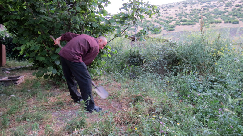 Когда я вошёл во двор Амалии Хачатрян, Арсен, её сын, с лопатой в руках, не торопясь, очищал территорию от травы, наводил порядок