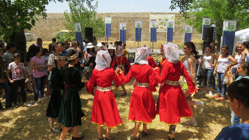 Девушки танцуют армянский танец.