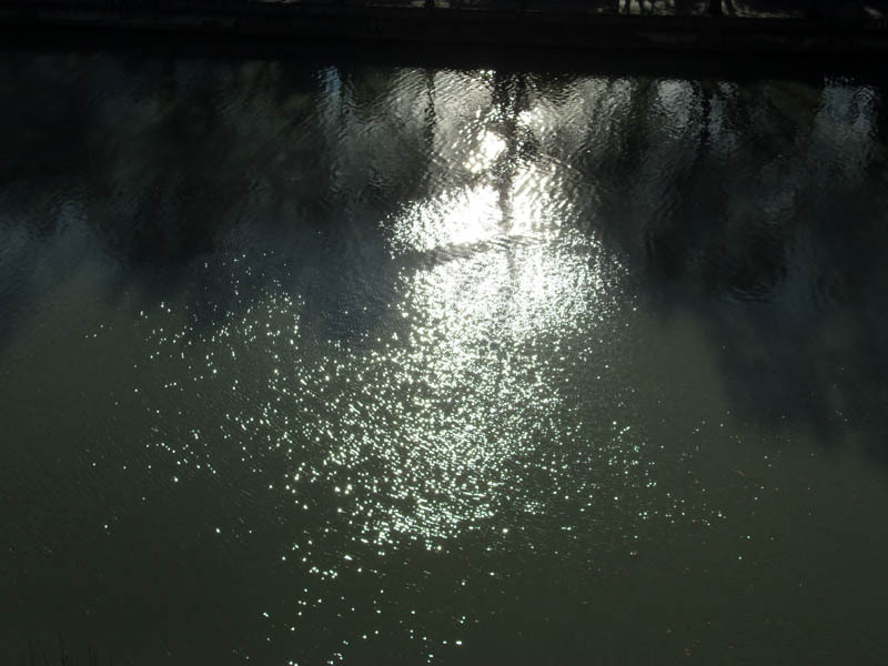 Вечернее отражение в воде.