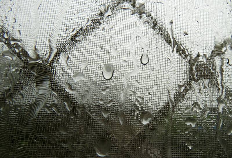 Идёт дождь... Идёт дождь...