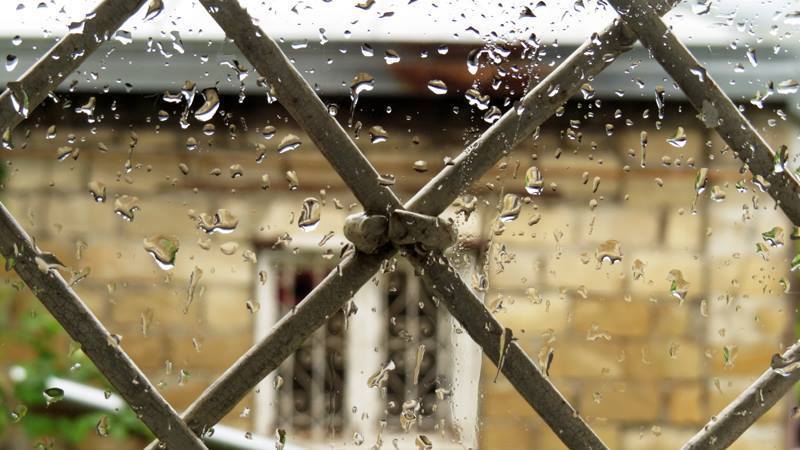 После дождя. После дождя.