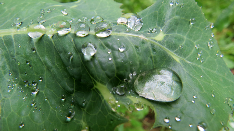 Cегодняшнее утреннее фото - 3. Cегодняшнее утреннее фото - 3.