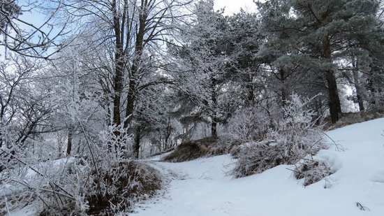 Фотография - 