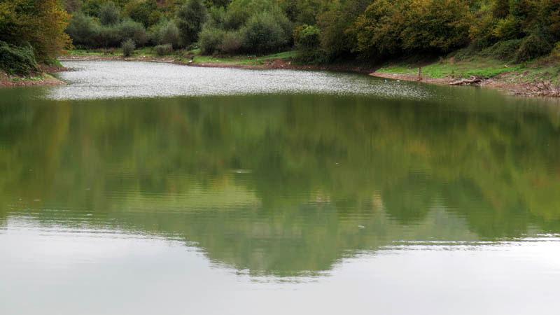 Фотовыставка (сентябрь) - 3. Фотовыставка (сентябрь) - 3.