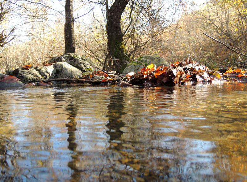 Фотовыставка (сентябрь) - 5. Фотовыставка (сентябрь) - 5.