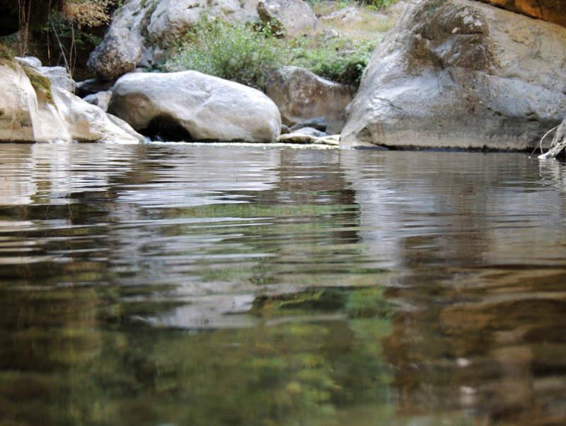 Фотовыставка (сентябрь) - 9. Фотовыставка (сентябрь) - 9.