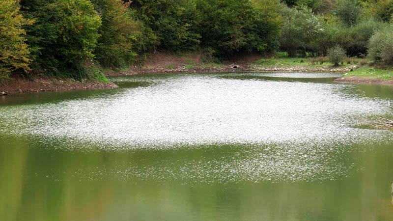 Фотовыставка (сентябрь) - 10. Фотовыставка (сентябрь) - 10.