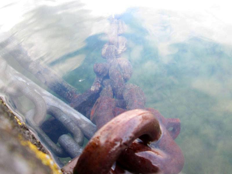 Фотовыставка (сентябрь) - 13. Фотовыставка (сентябрь) - 13.