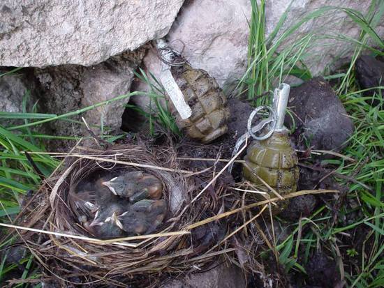 фото Араик Бахшиян. фото Араик Бахшиян.