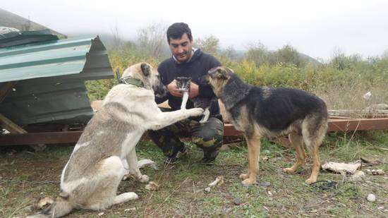 давайте жить дружно давайте жить дружно